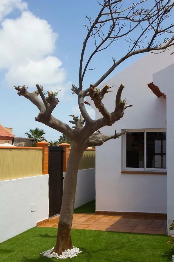 Villa Taginaste Corralejo